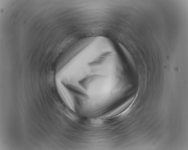 X0000076350144200610161808