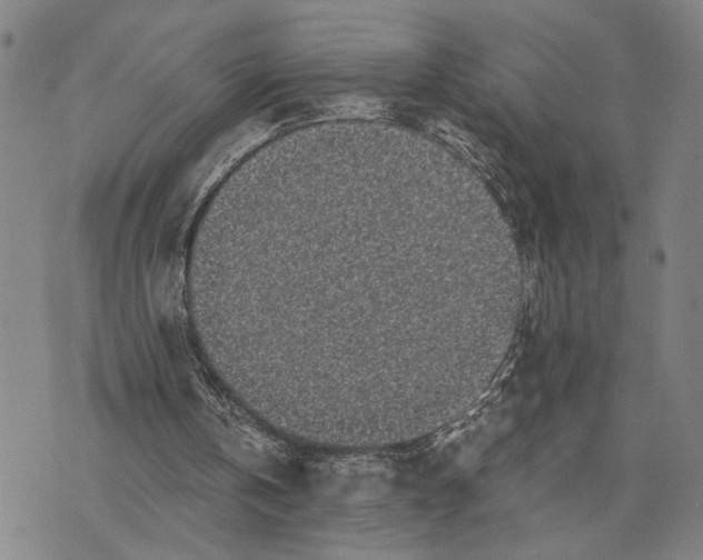 X0000076350146200610161807