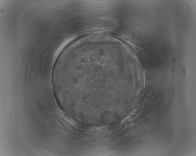 X0000076350147200610161807