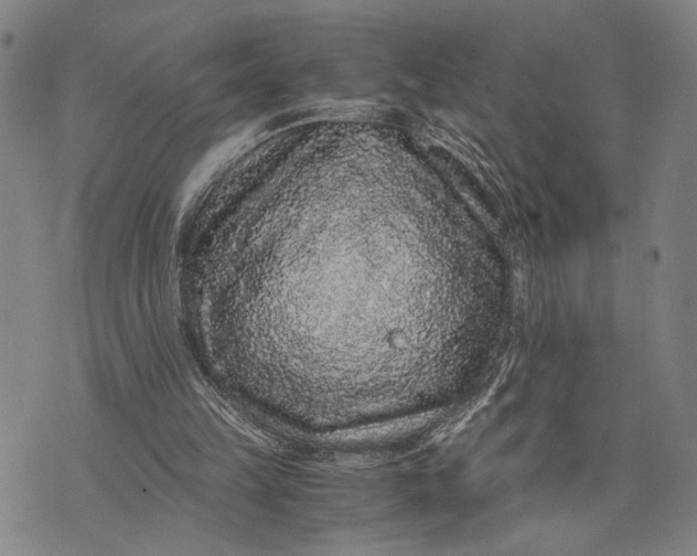 X0000076350149200610161807