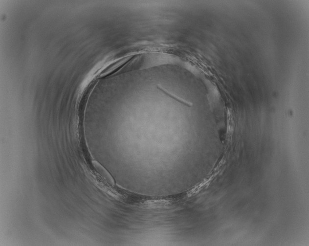 X0000076350150200610161807