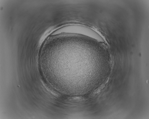 X0000076350151200610161807