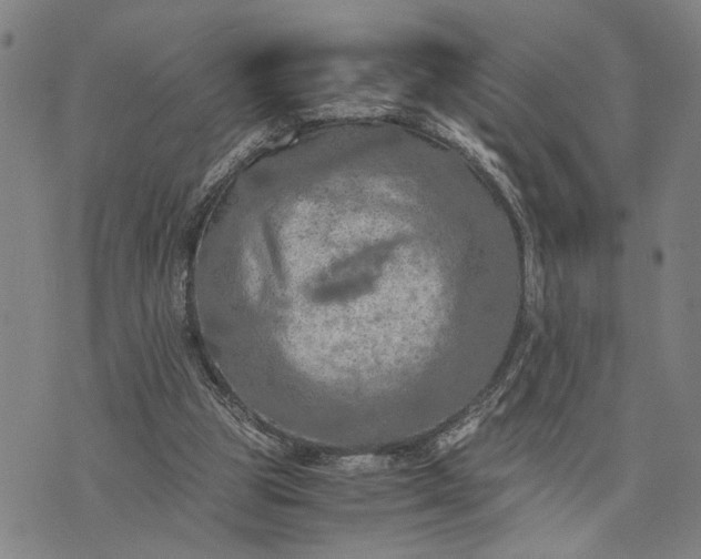 X0000076350153200610161807