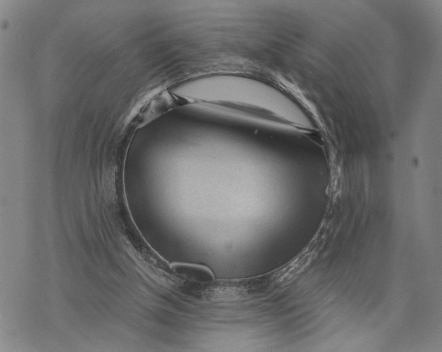 X0000076350154200610161807