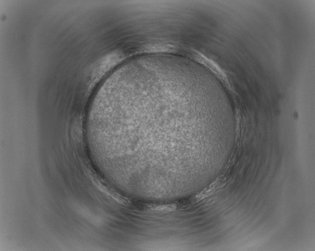 X0000076350155200610161807