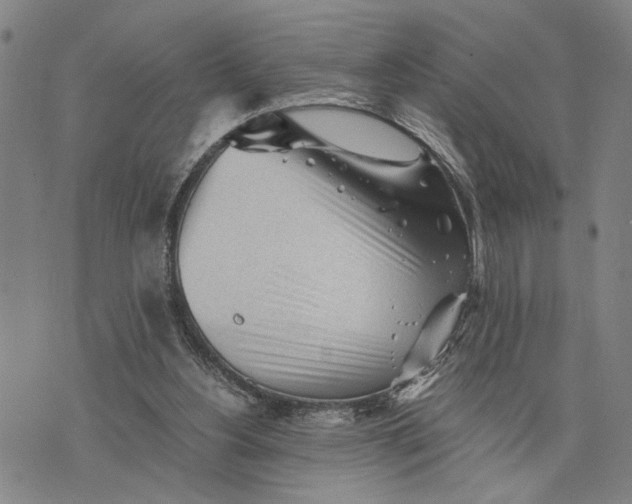 X0000076350156200610161807