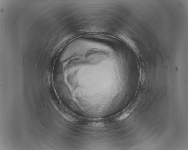 X0000076350157200610161807