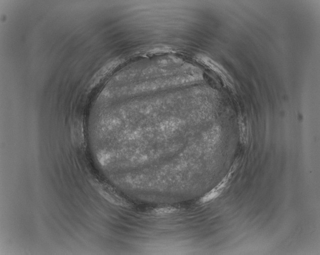 X0000076350158200610161807