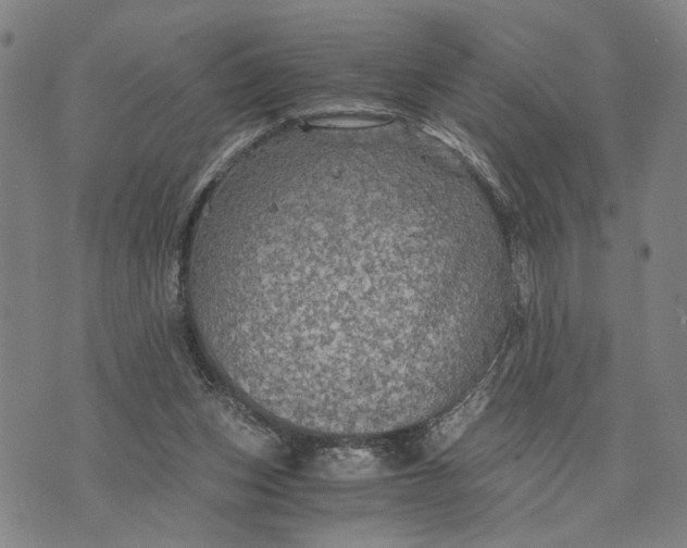 X0000076350159200610161807