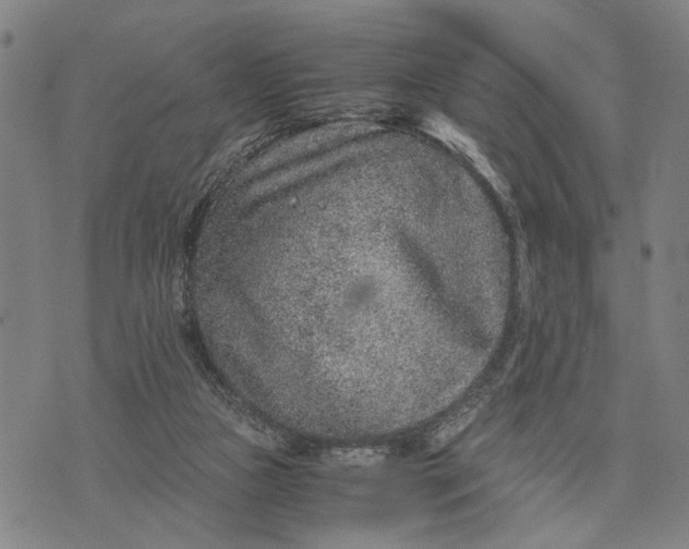 X0000076350161200610161807