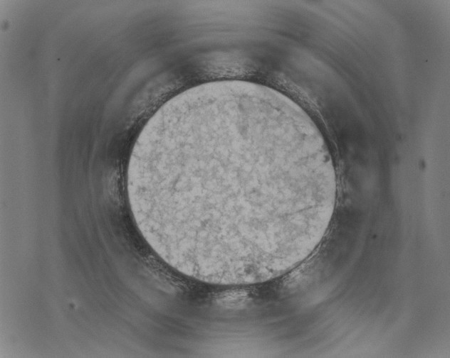 X0000076350162200610161807