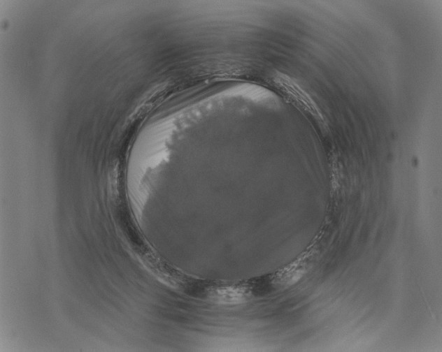 X0000076350163200610161808