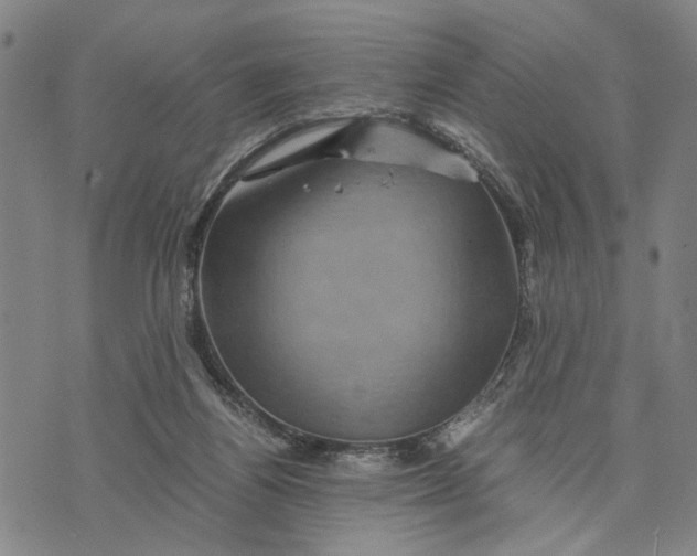 X0000076350164200610161808