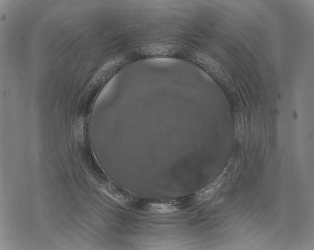 X0000076350167200610161808