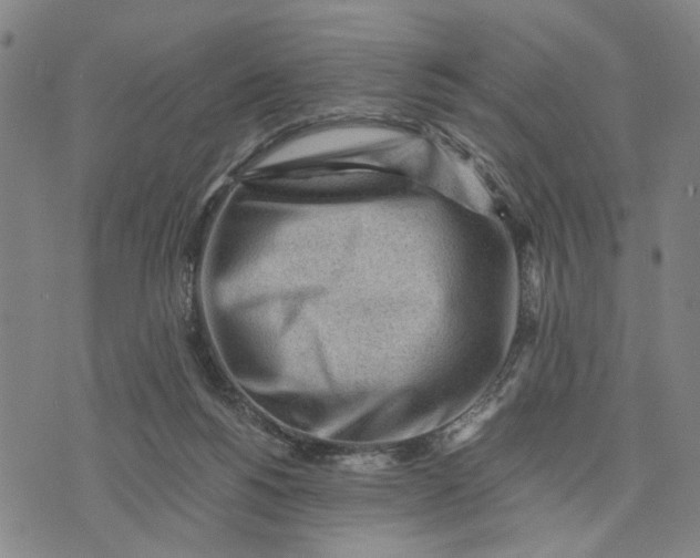 X0000076350168200610161808