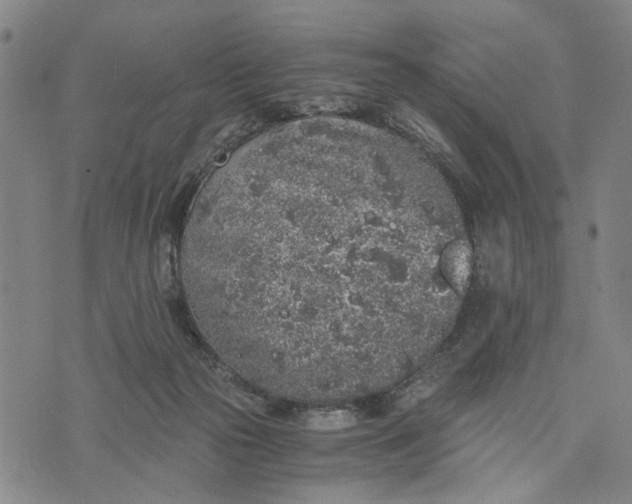 X0000076350169200610161808