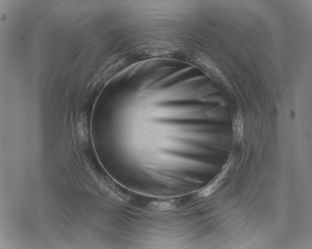 X0000076350170200610161808