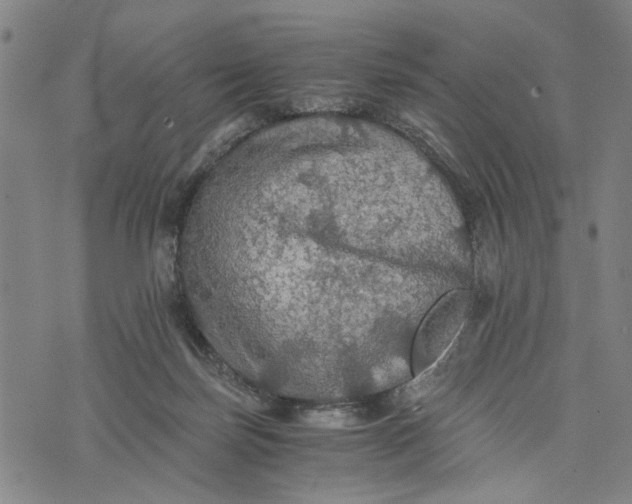 X0000076350171200610161808