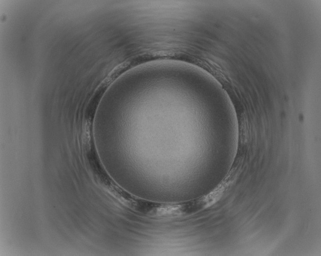 X0000076350172200610161808