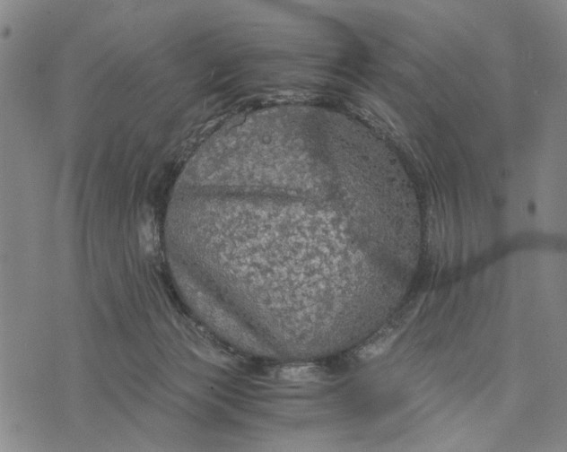 X0000076350173200610161808