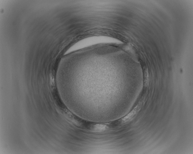 X0000076350176200610161808