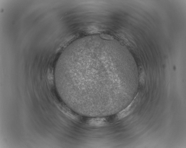 X0000076350179200610161808