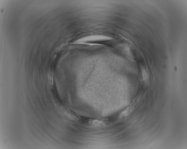 X0000076350180200610161808