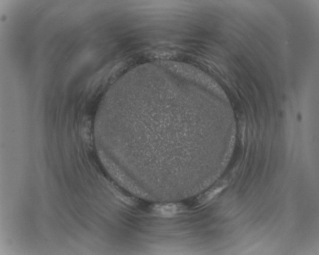 X0000076350181200610161808