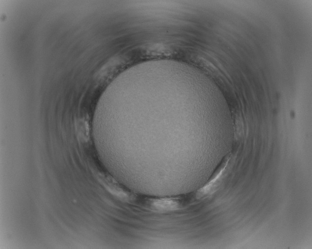 X0000076350183200610161808