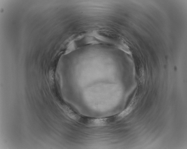 X0000076350184200610161808