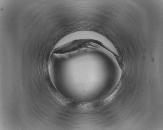 X0000076350186200610161808