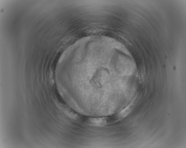 X0000076350187200610161808