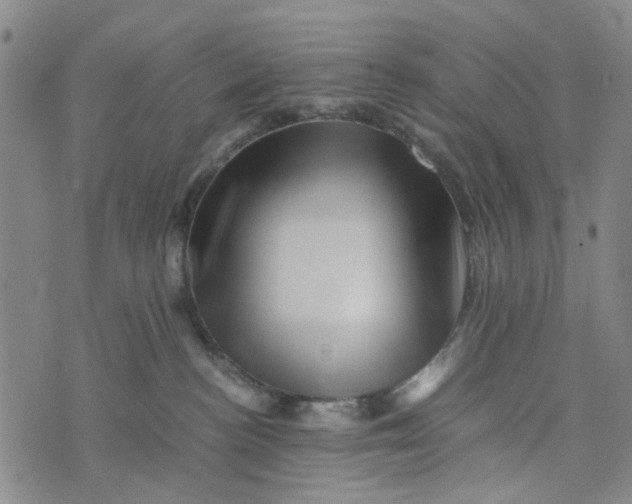 X0000076350188200610161808