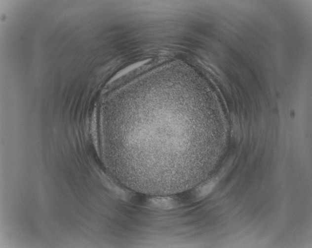 X0000076350189200610161808