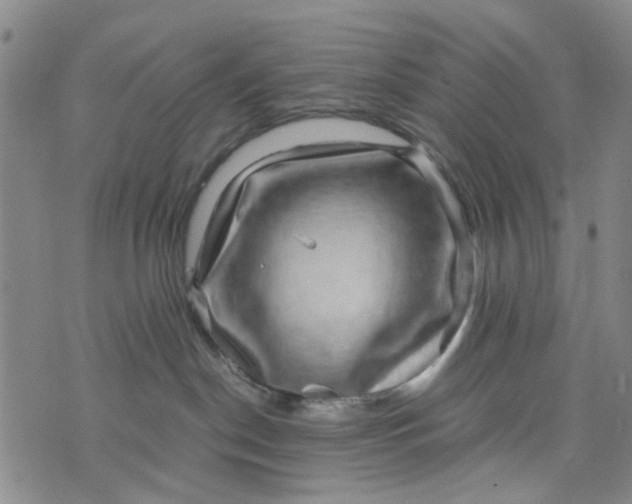 X0000076350190200610161808