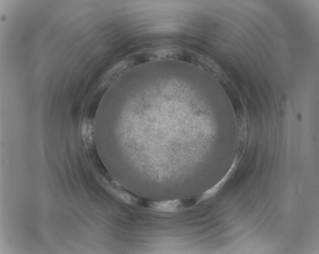 X0000076350191200610161808