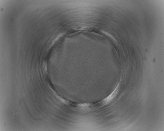 X0000076350192200610161808