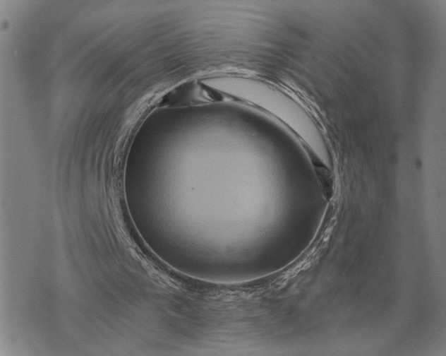 X0000076350193200610161807