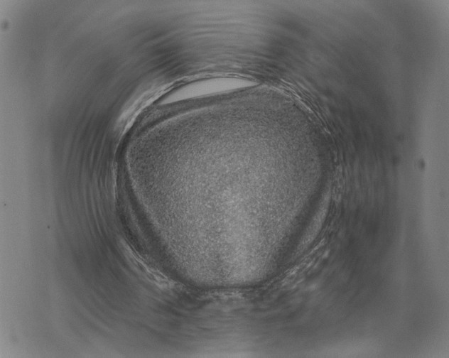 X0000076350194200610161807