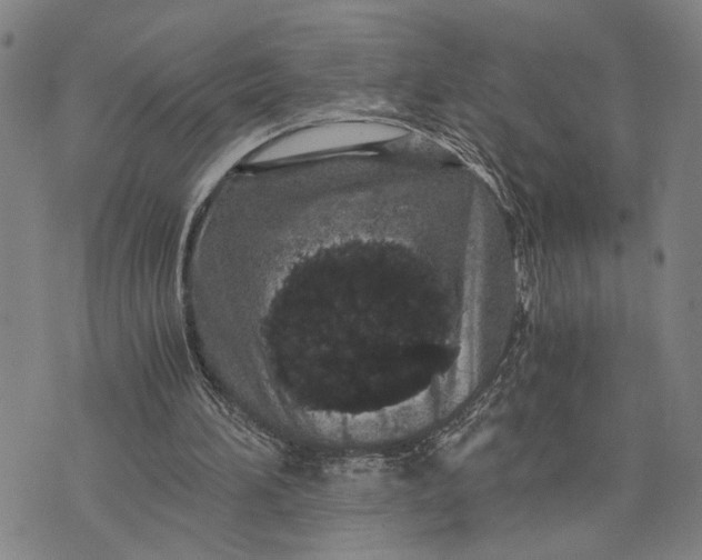 X0000076350196200610161807