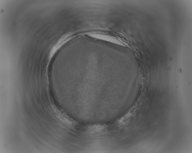 X0000076350198200610161807