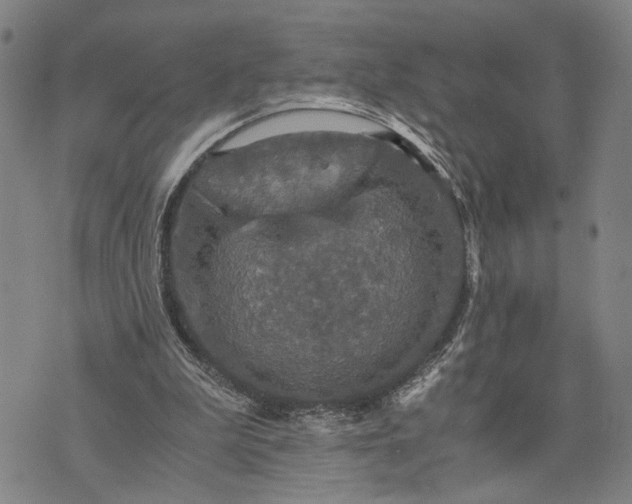 X0000076350199200610161807