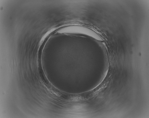 X0000076350200200610161807