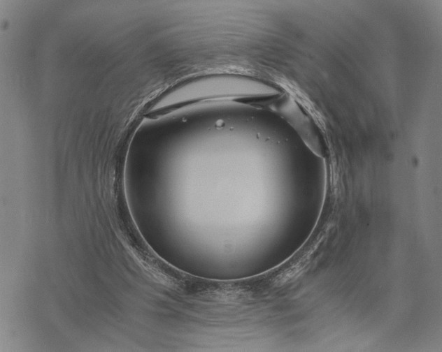 X0000076350201200610161807