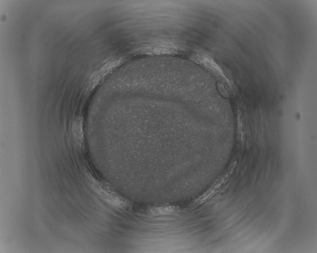 X0000076350202200610161807