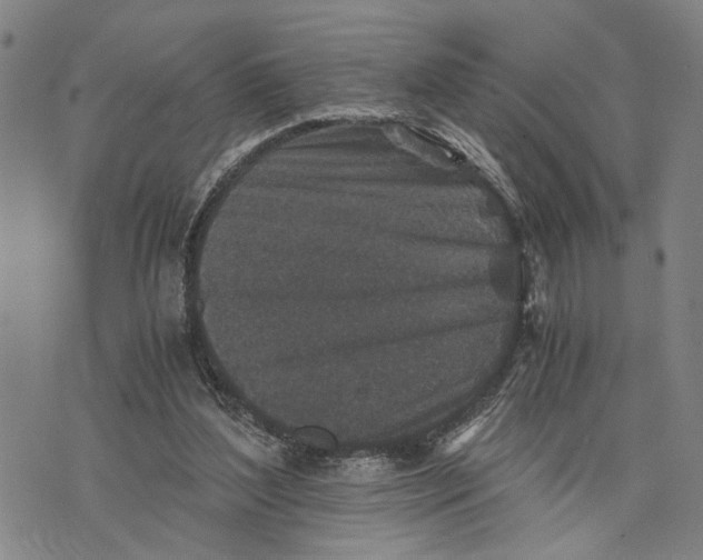 X0000076350204200610161807