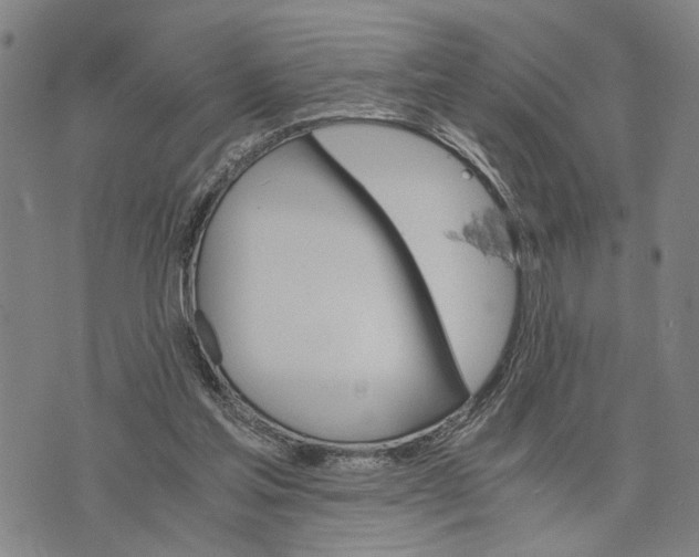 X0000076350205200610161807