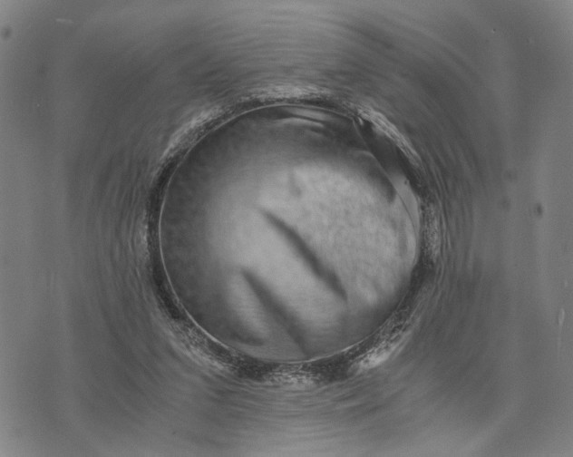 X0000076350207200610161807