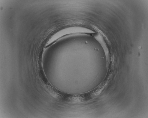 X0000076350209200610161807