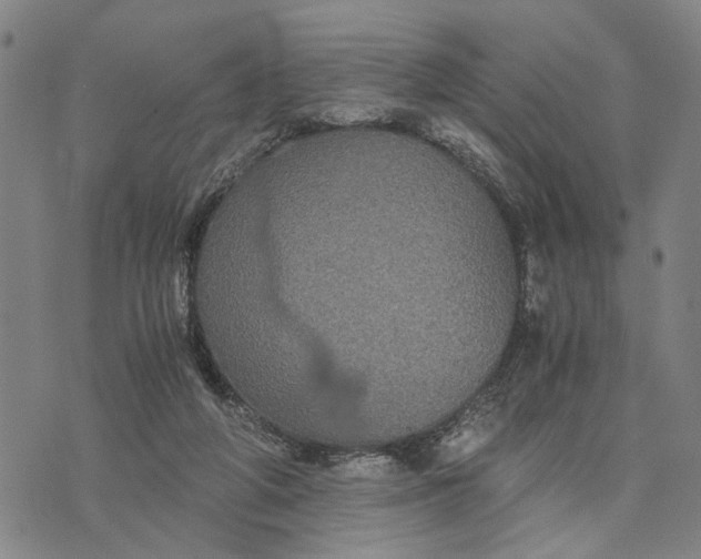 X0000076350210200610161807